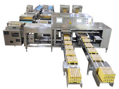 egg packaging job description